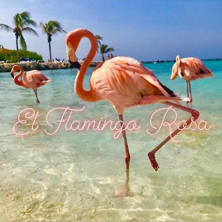 Casa Vacanze El Flamingo Rosa Cod Iun P5386 Iglesias Eksteriør bilde